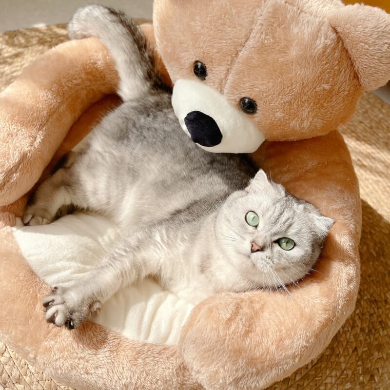 Cute Detachable Cuddle Bear Cat Bed