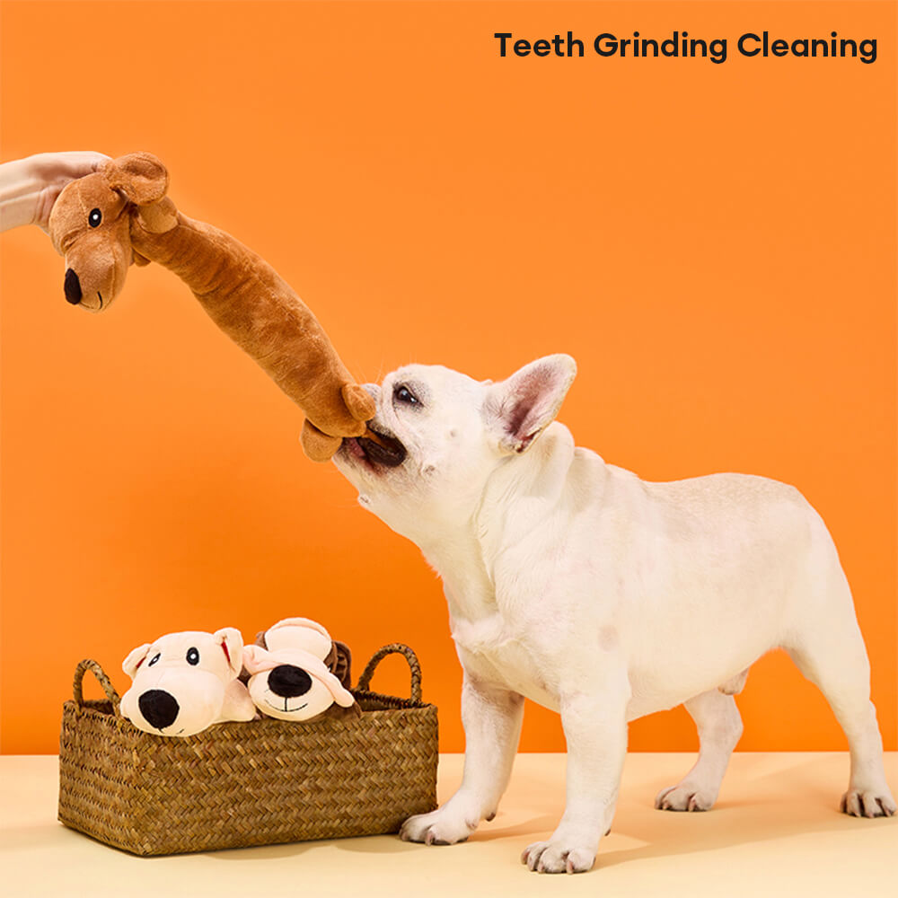 Plush Squeaky Durable Bite-Resistant Dog Chew Toy